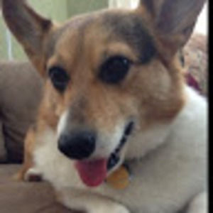 Meet your Posher, Alexandra